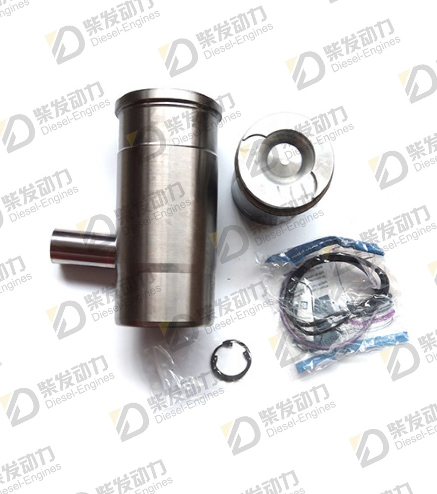 Cylinder liner kit 275641 